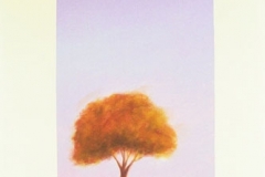 111-trees-080