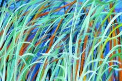 autumn-reeds