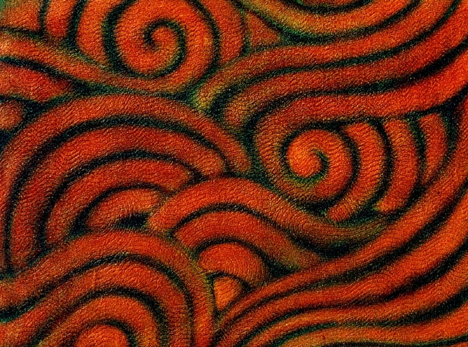 3-red-waves